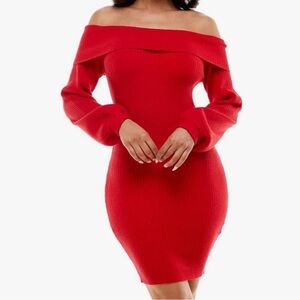 Bebe Overlay Balloon Sleeve Knit Dress